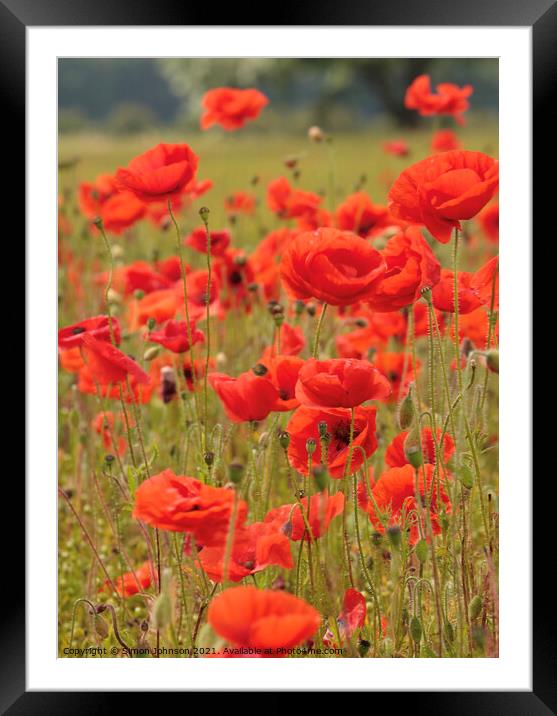 wind blown poppies Framed Mounted Print by Simon Johnson