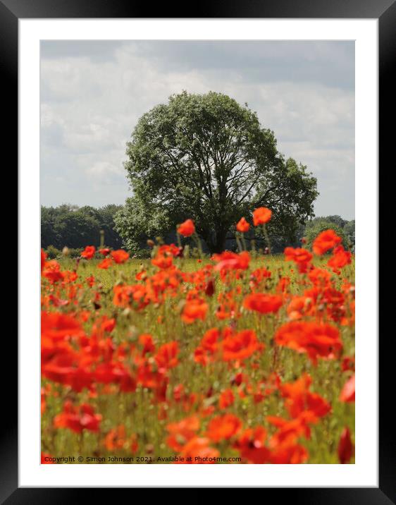 Wind blown poppies and tree Framed Mounted Print by Simon Johnson