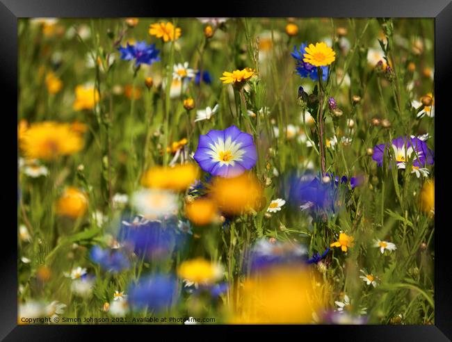 Meadow flowers Framed Print by Simon Johnson