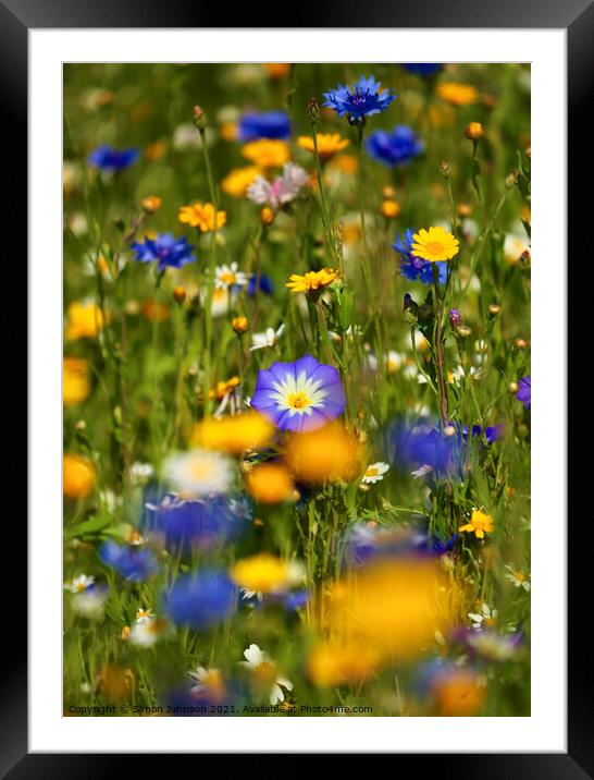  Meadow Flowers Framed Mounted Print by Simon Johnson
