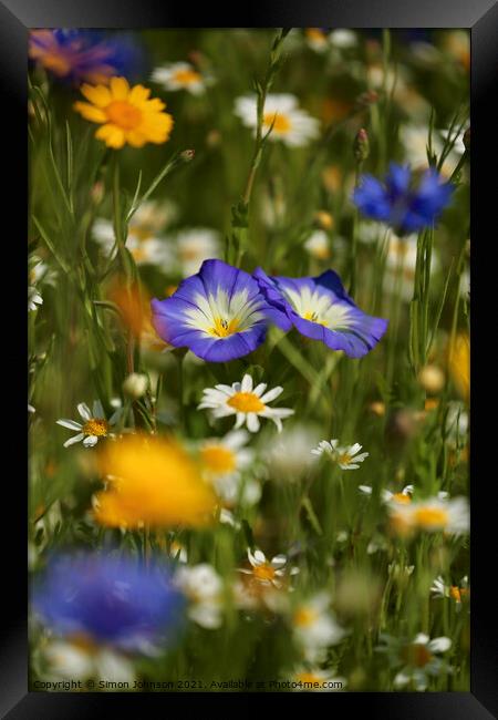 meadow Flowers Framed Print by Simon Johnson