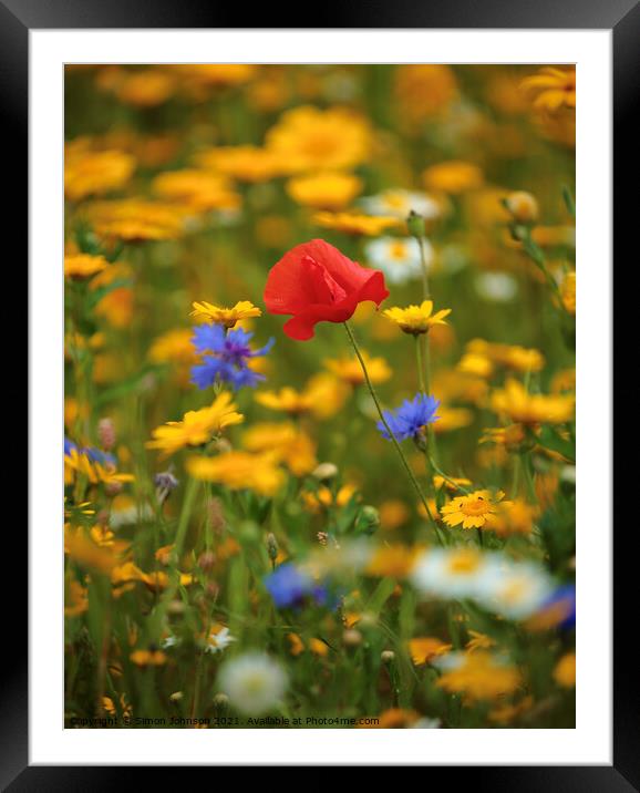 Meadow flowers and Poppy Framed Mounted Print by Simon Johnson