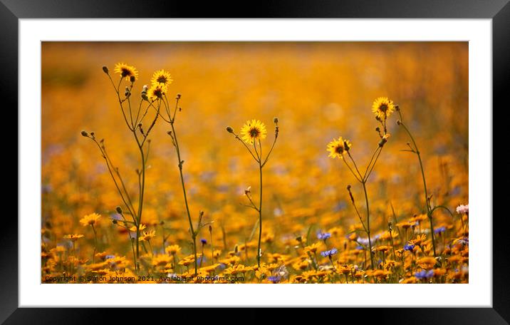 Happy Flowers Framed Mounted Print by Simon Johnson