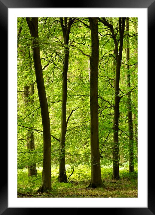 Tranquil trees Framed Mounted Print by Simon Johnson