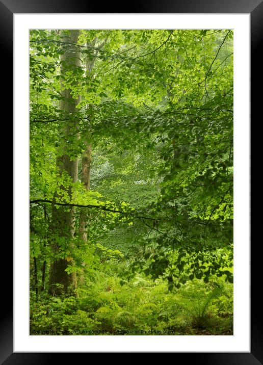 Woodland greens Framed Mounted Print by Simon Johnson