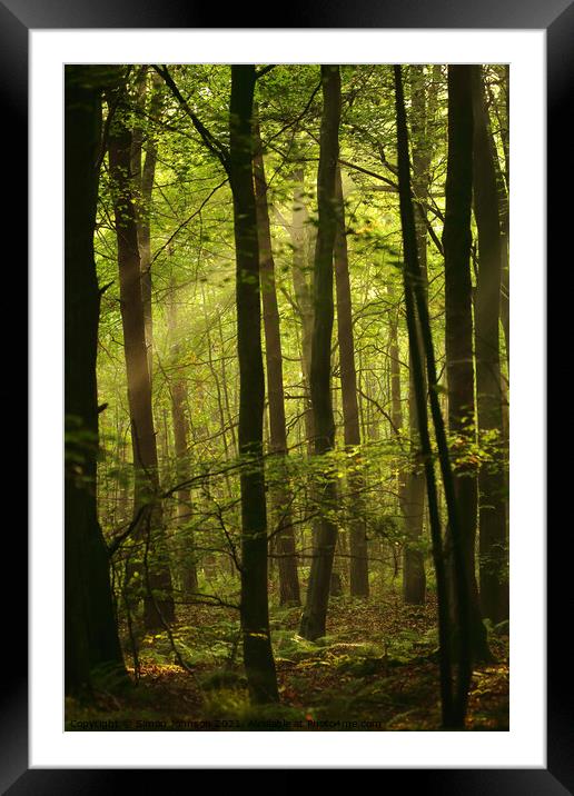 sunlit woodland Framed Mounted Print by Simon Johnson