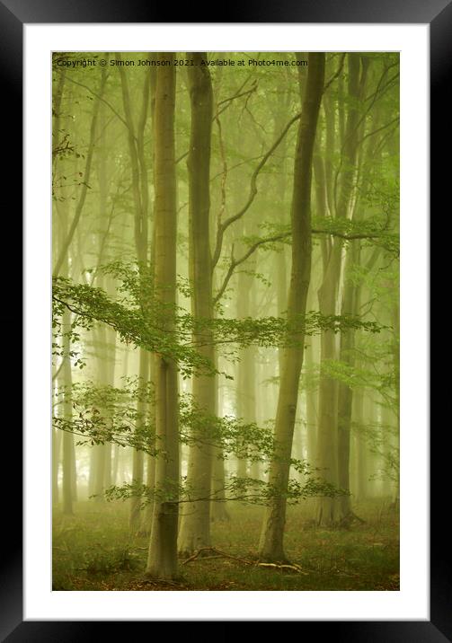 Misty morning in Beech woodland Framed Mounted Print by Simon Johnson