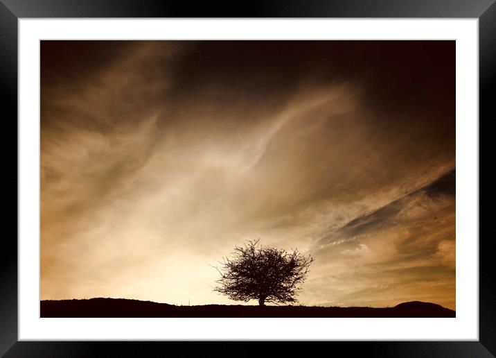 Sky cloud and tree Framed Mounted Print by Simon Johnson