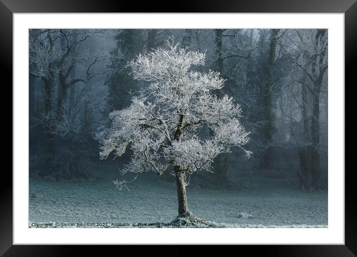 sunlit frosted tree Framed Mounted Print by Simon Johnson