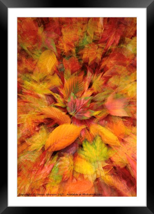 autumn  leaves Framed Mounted Print by Simon Johnson