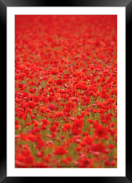 poppies galore Framed Mounted Print by Simon Johnson