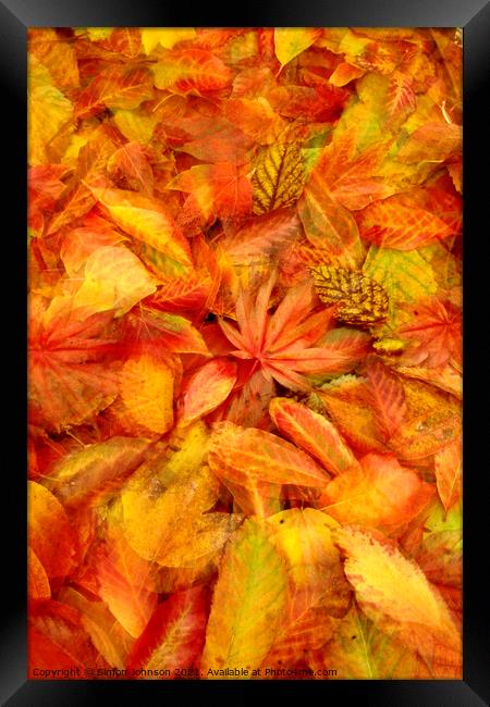 Autunmn leaf Collage Framed Print by Simon Johnson