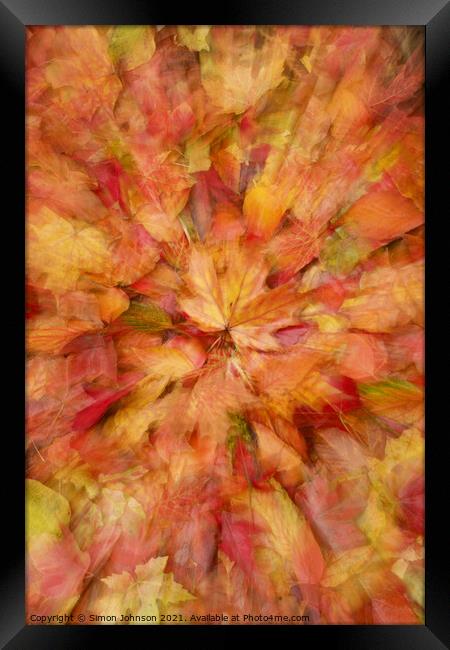 autumn leaf collage Framed Print by Simon Johnson