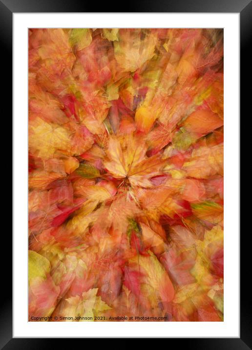  autumn leaf collage Framed Mounted Print by Simon Johnson