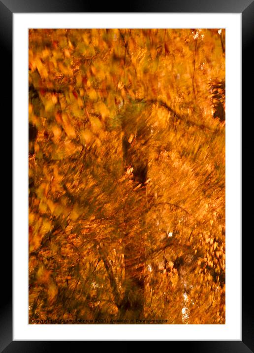 Autumn fire Framed Mounted Print by Simon Johnson