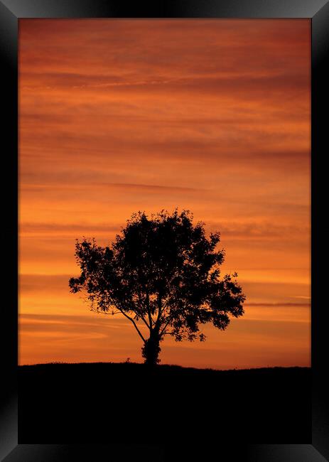 Cotsold sunrise Framed Print by Simon Johnson