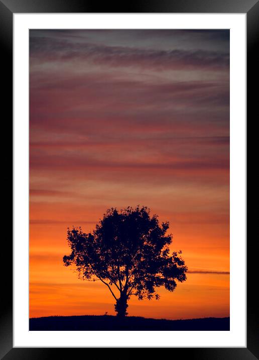 sunset clouds  and tree Silhouette   Framed Mounted Print by Simon Johnson