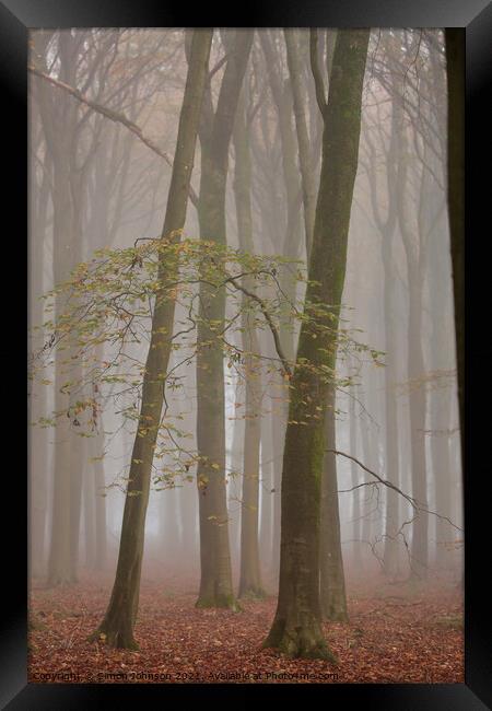 Woodland architecture Framed Print by Simon Johnson