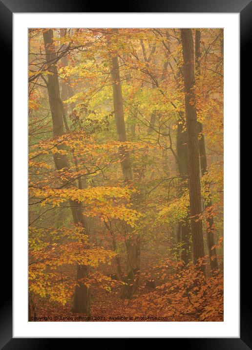 Misty Beech woodland Framed Mounted Print by Simon Johnson