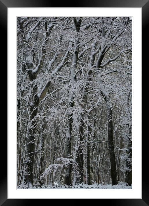 Winter woodland architecture  Framed Mounted Print by Simon Johnson