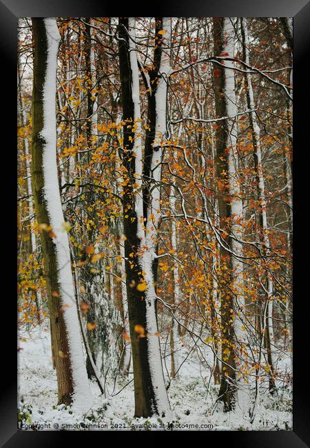 Winter woodland and autumn leaves Framed Print by Simon Johnson