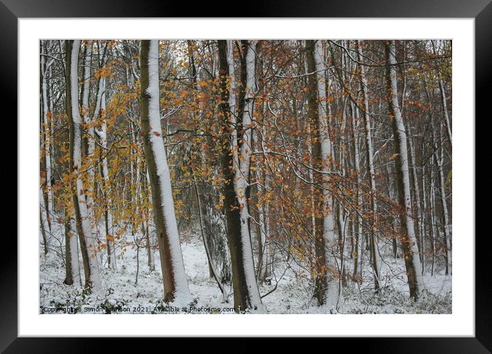 winter woodland Framed Mounted Print by Simon Johnson