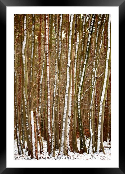 frosted tree trunks Framed Mounted Print by Simon Johnson