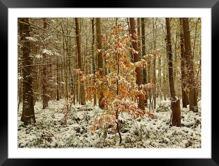  autumn leaves and woodland snow Framed Mounted Print by Simon Johnson