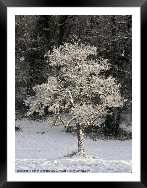 A tree with snow on the ground Framed Mounted Print by Simon Johnson