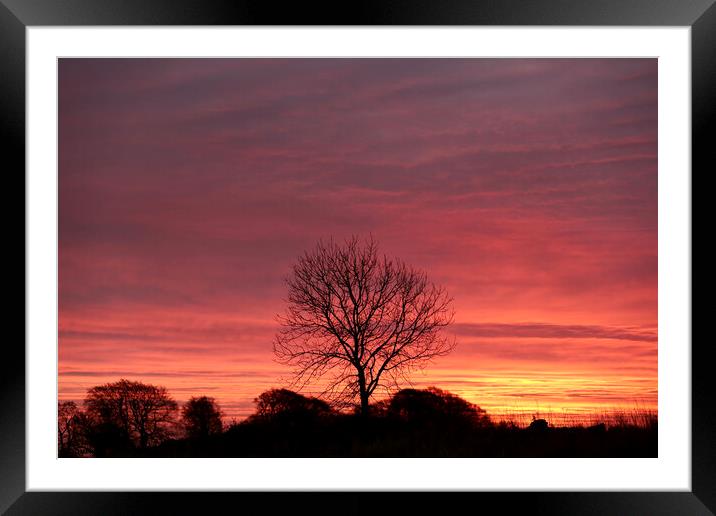 Sunrise sky Framed Mounted Print by Simon Johnson