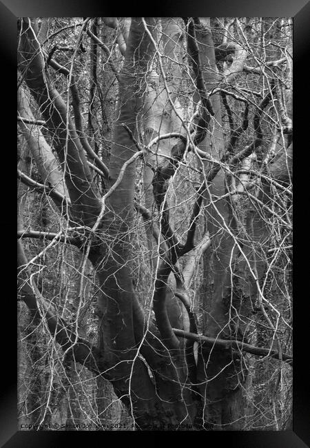 Branch Chaos Framed Print by Simon Johnson