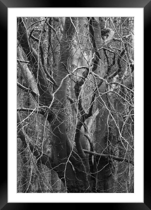 Branch Chaos Framed Mounted Print by Simon Johnson