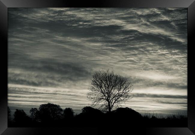 Cotswold sunrise and tree silhouette  Framed Print by Simon Johnson
