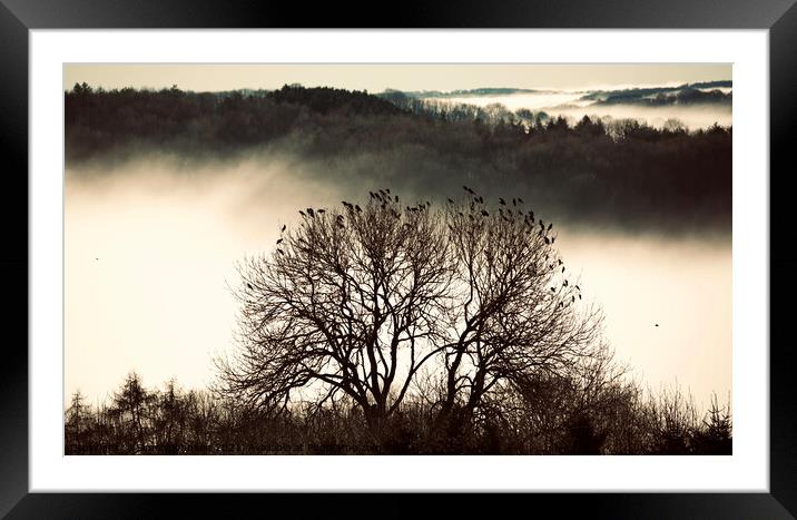 Cotswold mist and rookery Framed Mounted Print by Simon Johnson