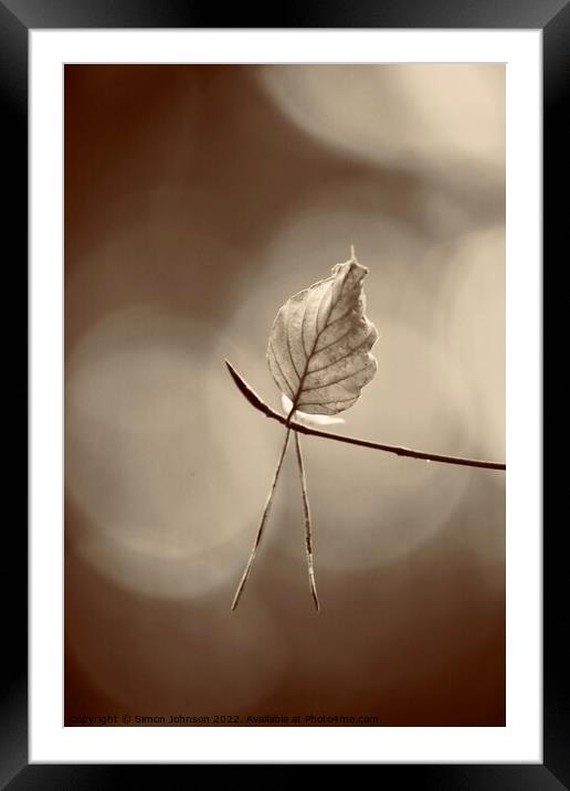 last leaf standing Framed Mounted Print by Simon Johnson