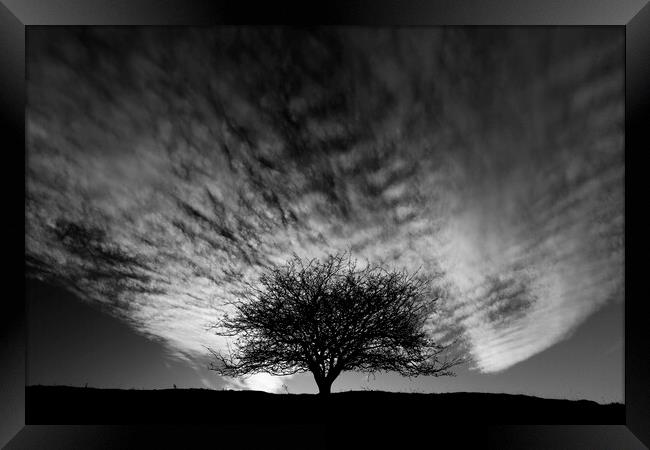 Tree and clouds Framed Print by Simon Johnson