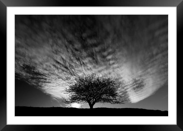Tree and clouds Framed Mounted Print by Simon Johnson