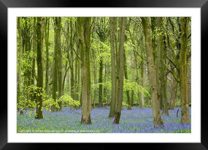 Bluebells Framed Mounted Print by Simon Johnson