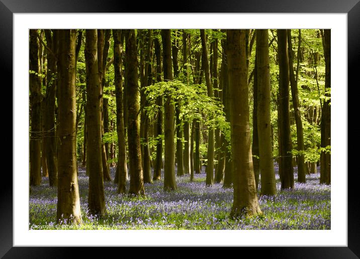 Woodland Bluebells Framed Mounted Print by Simon Johnson