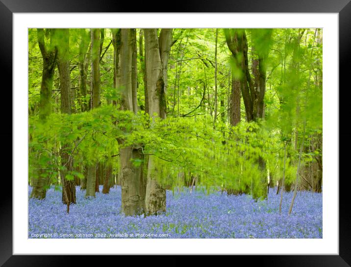 Bluebells Framed Mounted Print by Simon Johnson