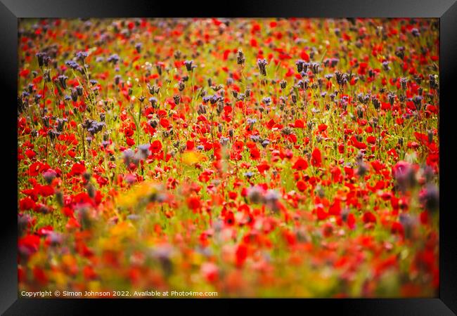 Cotswoid Poppies Framed Print by Simon Johnson