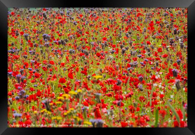 Poppy field with meadow flowers Framed Print by Simon Johnson