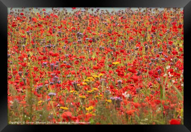 poppy field and meadow flowers Framed Print by Simon Johnson