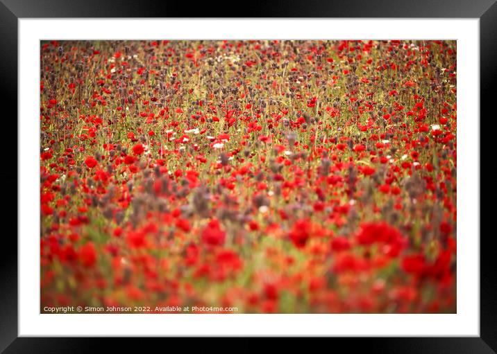 Cotswold Poppies Framed Mounted Print by Simon Johnson