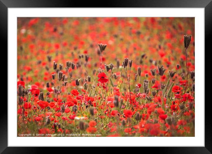 Cotswold Poppies Framed Mounted Print by Simon Johnson