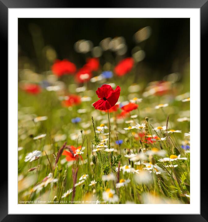 Creative image of wind blown poppy Framed Mounted Print by Simon Johnson