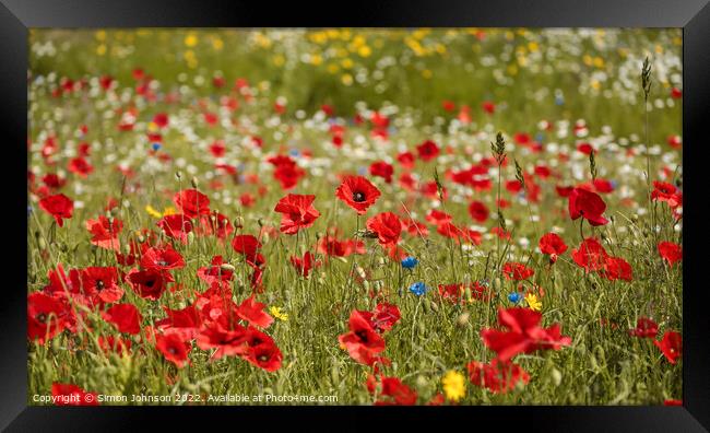 meadow flowers and poppys Framed Print by Simon Johnson