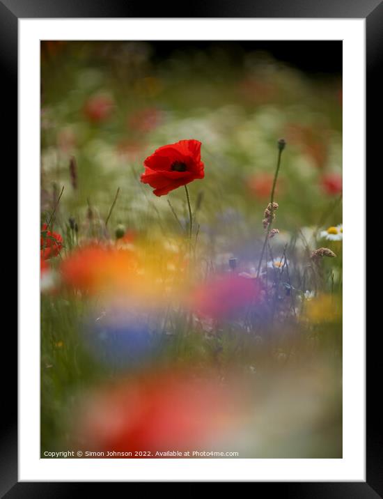 Plant flower Framed Mounted Print by Simon Johnson