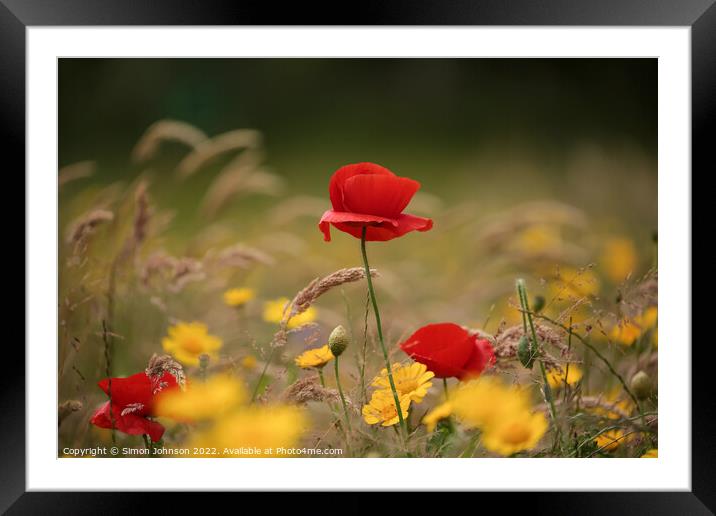 Wind blown poppy Framed Mounted Print by Simon Johnson