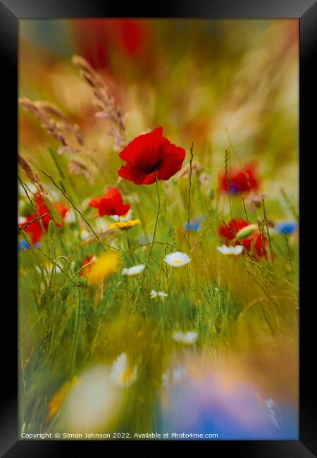 Poppy Impressionism Framed Print by Simon Johnson